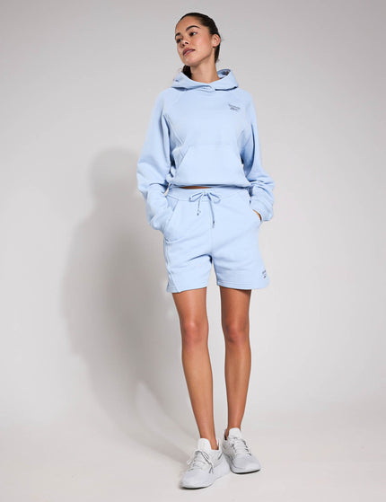 Reebok Icon Elements Hoodie - Y2K Blueimage4- The Sports Edit