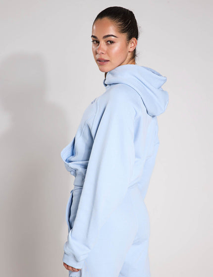Reebok Icon Elements Hoodie - Y2K Blueimage2- The Sports Edit