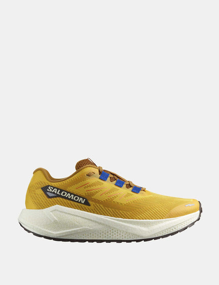 Salomon "Aero Blaze 3 Grvl - Spicy Mustard/VanillaIce/Nautical Blue"images1- The Sports Edit