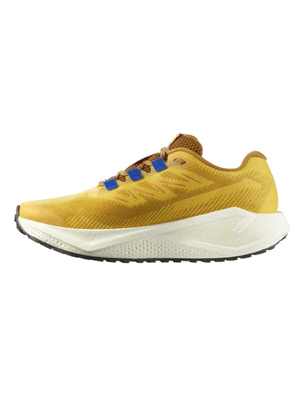 Salomon "Aero Blaze 3 Grvl - Spicy Mustard/VanillaIce/Nautical Blue"images3- The Sports Edit