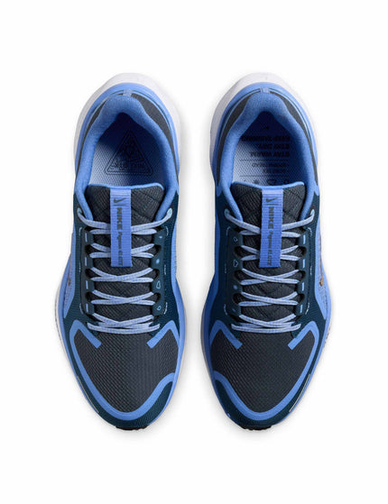 Nike Pegasus 41 Gore-Tex Shoes - Cobalt Bliss/Armoury Navy/Royal Pulse/Metallic Red Bronzeimage4- The Sports Edit