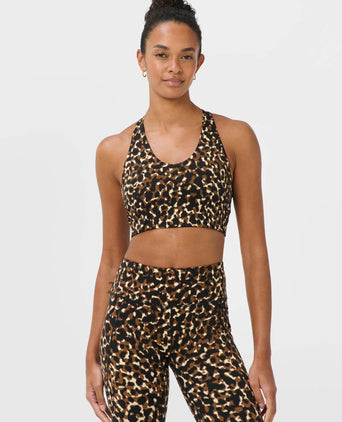 Power Racer Bra - Brown Offbeat Animal Print